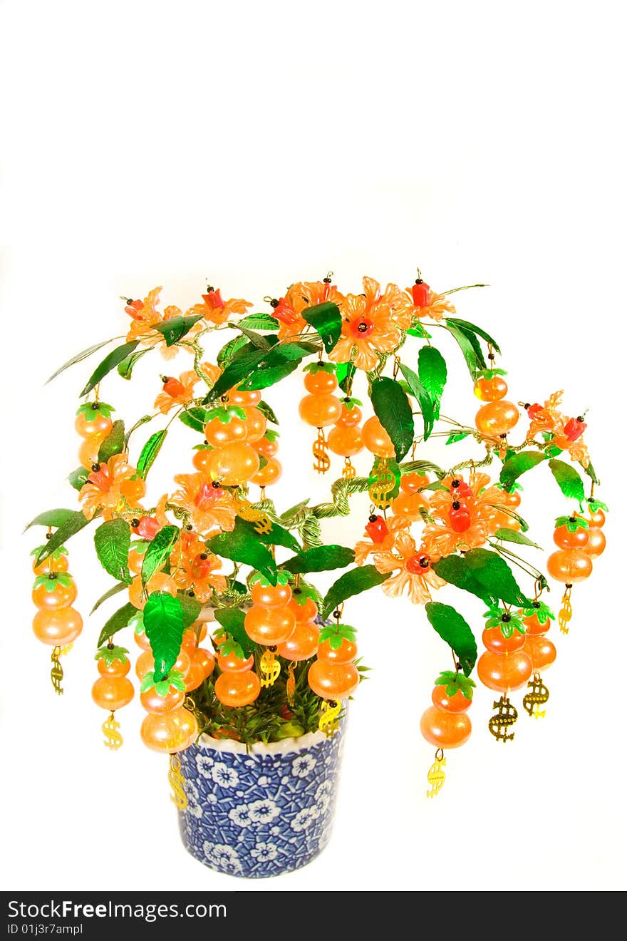 An auspicious, ornamental money plant bearing orange fruit