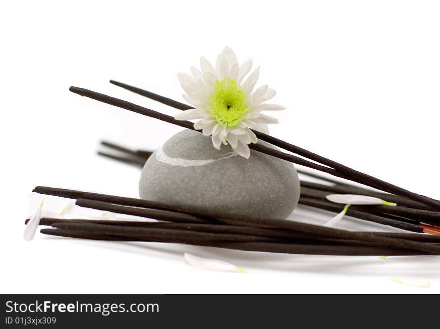 Aromatic sticks with white chrysanthemum flowers for relaxation and recreation. Aromatic sticks with white chrysanthemum flowers for relaxation and recreation