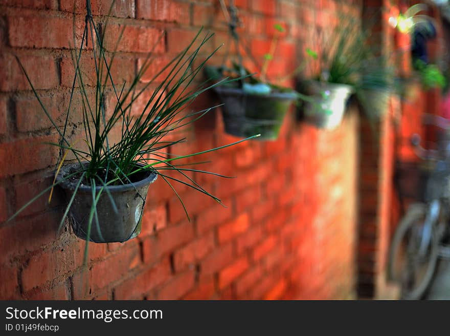 Pot on the red brick wall.The wall belongs to an old building in NanJing.