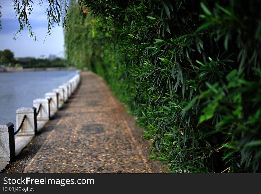 In summer ,you can see the green belt around Qinhuaihe River.There're many trees and green Plants.And also you can see buildings far away.