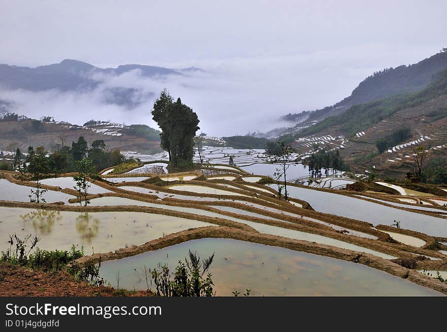 China Yunnan Hani Terrace View