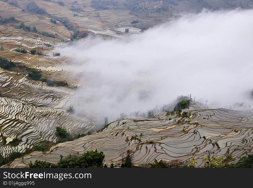 China Yunnan Hani Terrace View