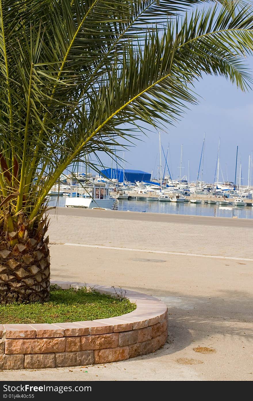 Port at seashore, boats and palms