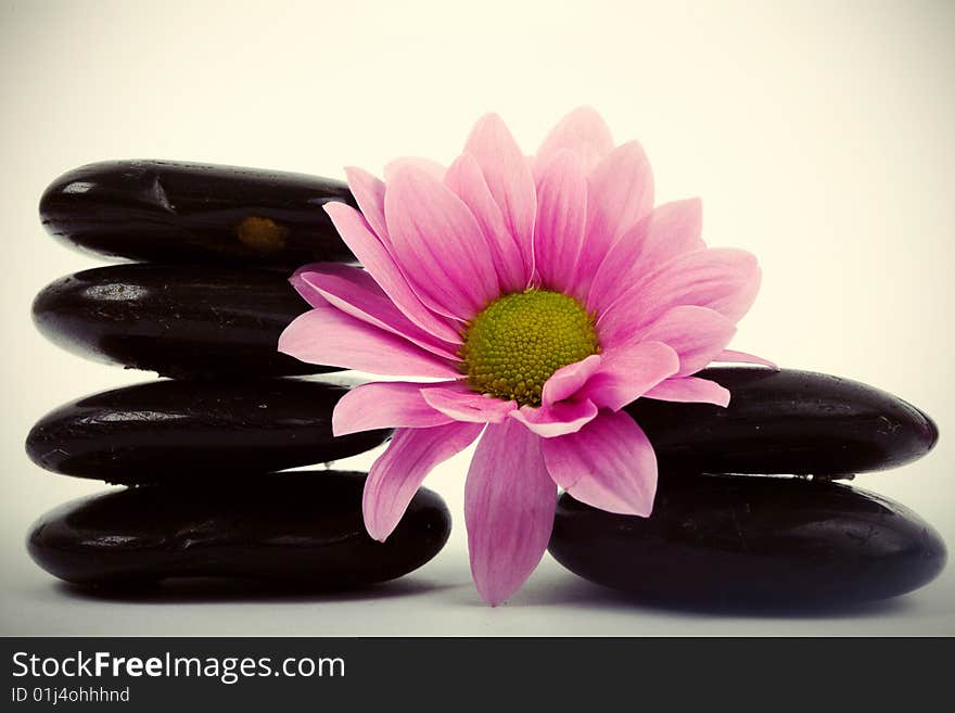 An image of little black stones and flower