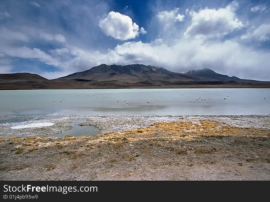 Lake In Bolivia,Bolivia