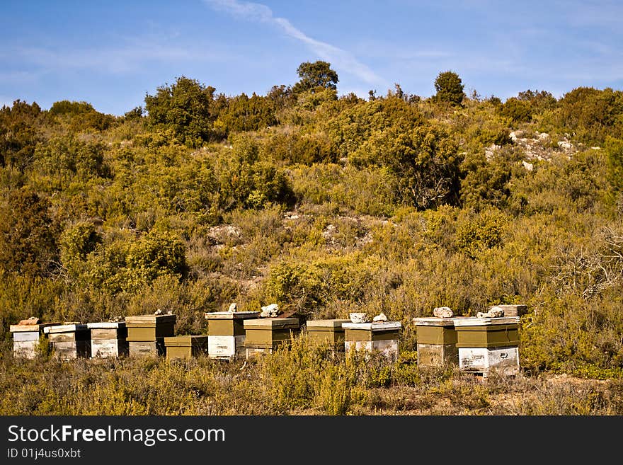 beehives in a clearing of a mountain, for honey production