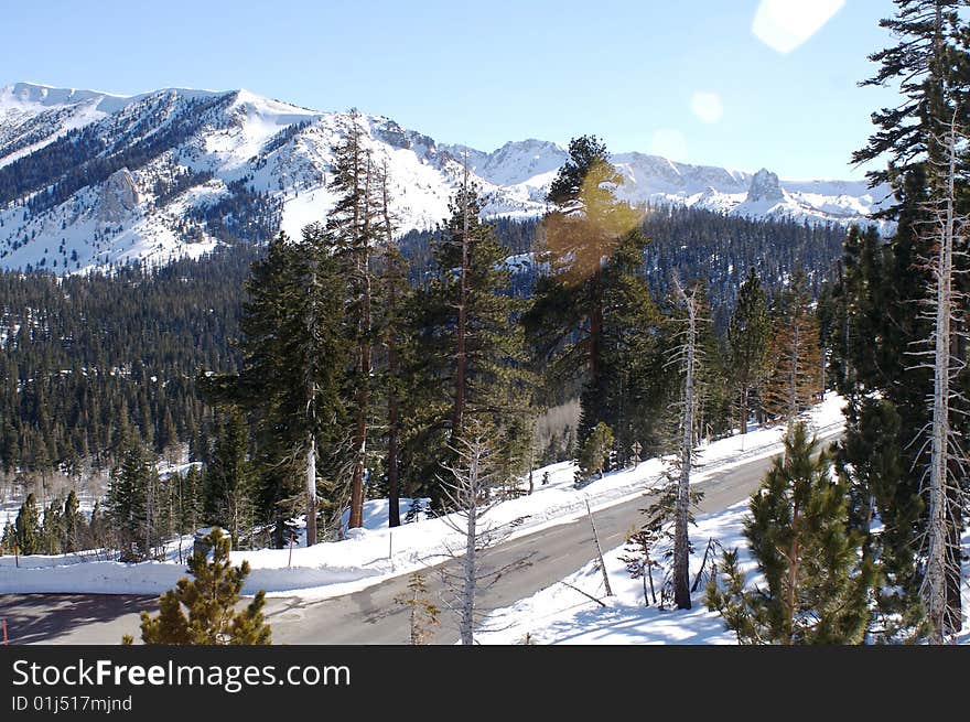 The view of an empty road at Mammoth Mountain from a trail. The view of an empty road at Mammoth Mountain from a trail