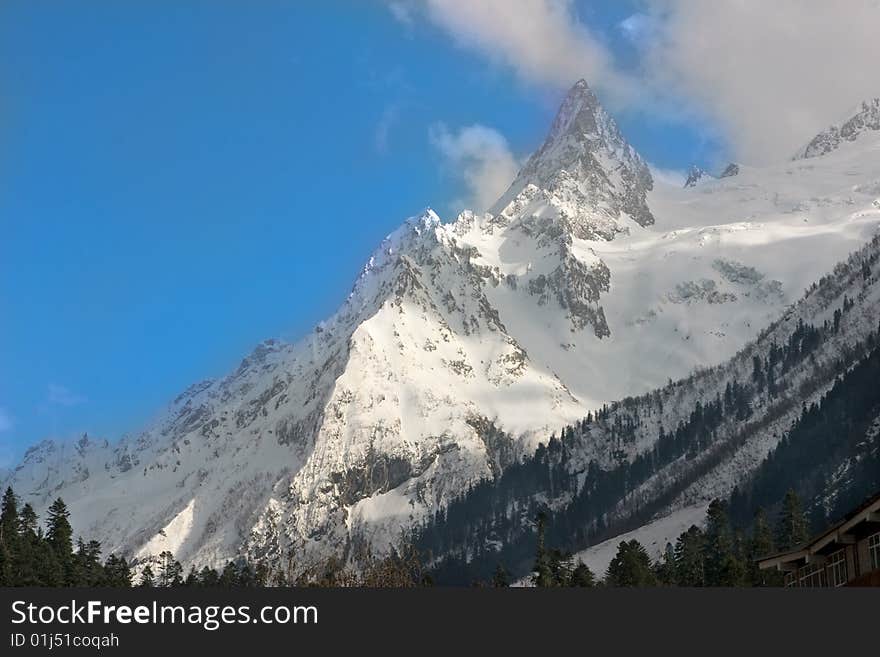 Caucasian mountain, snow and tree