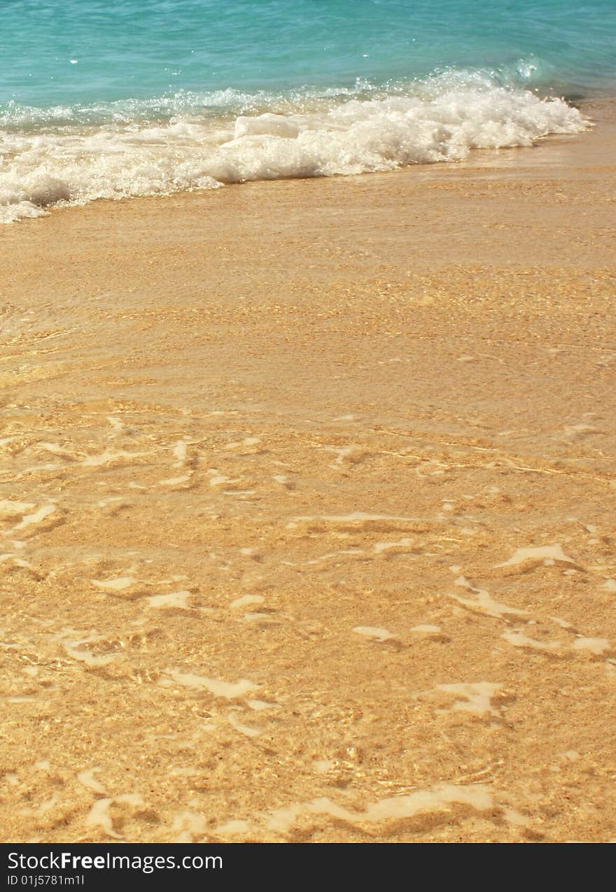 Close-up of sea's surf covered beach's sand. Close-up of sea's surf covered beach's sand