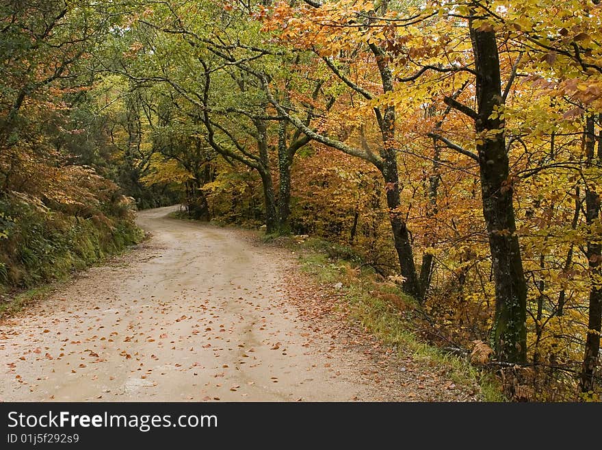 Mountain road with autumn colors on nature