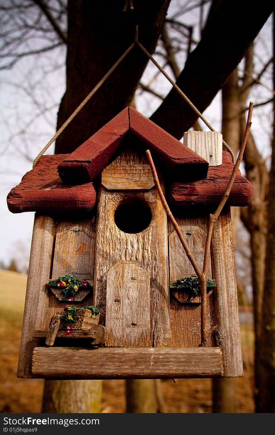Bird House in the Winter