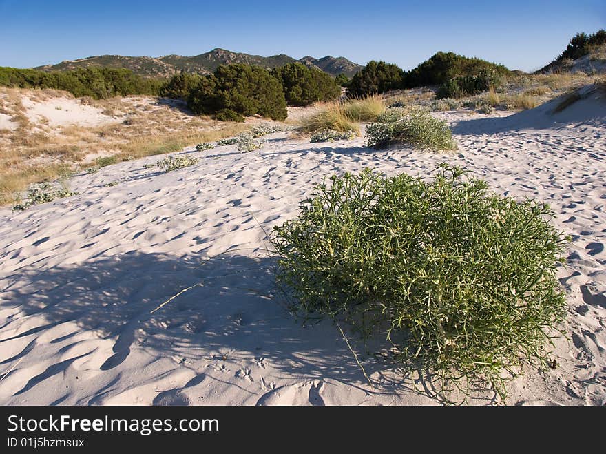 Sardinia landscape