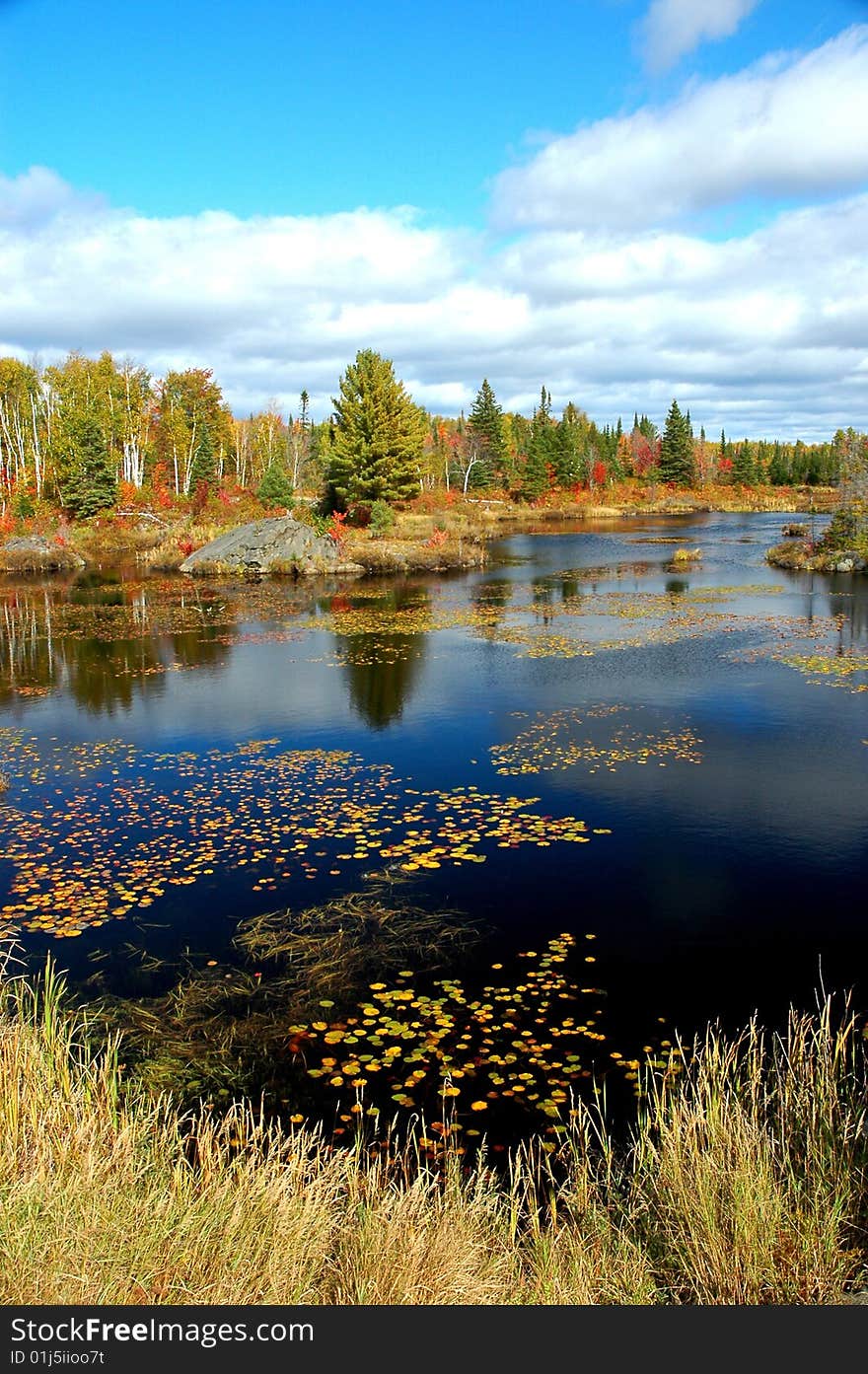 Pond with water lillies in the fall in Ontario