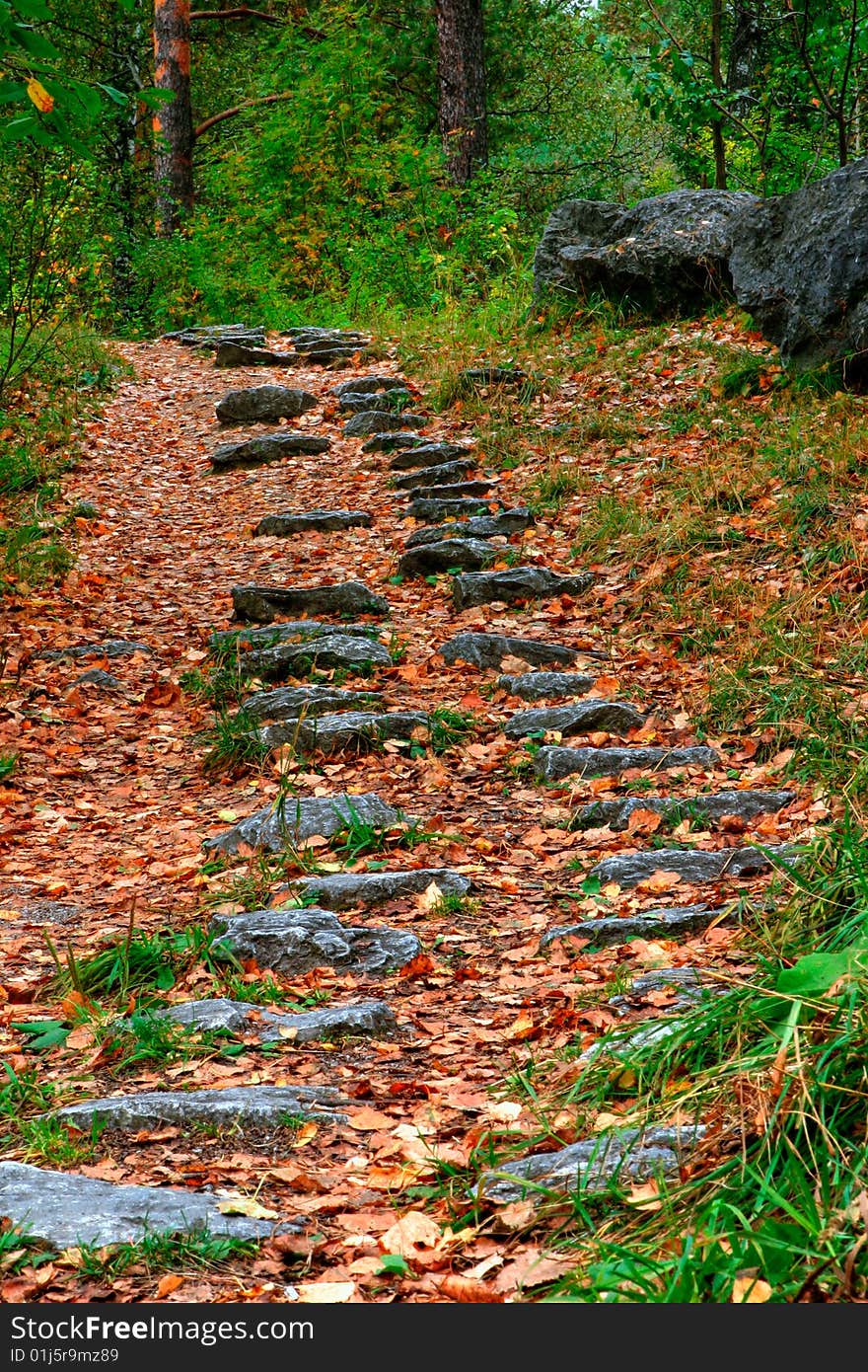 Old path from the wet stone, laid in wood. Old path from the wet stone, laid in wood