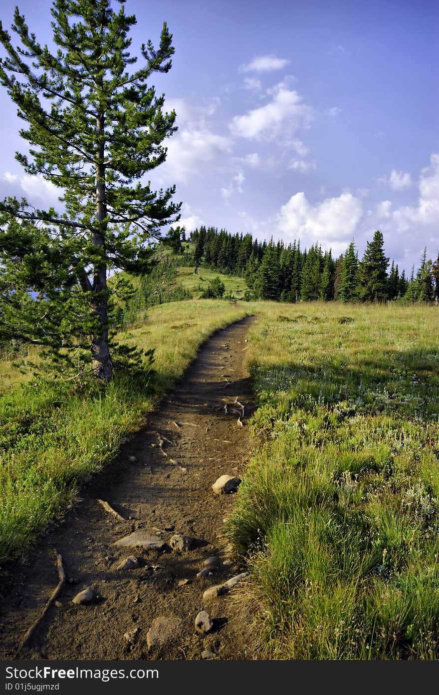 Ridge hiking path