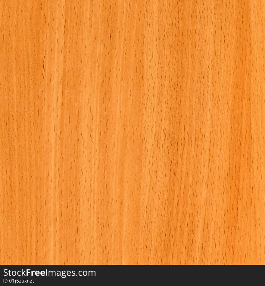 Close-up Wooden Beech Texture