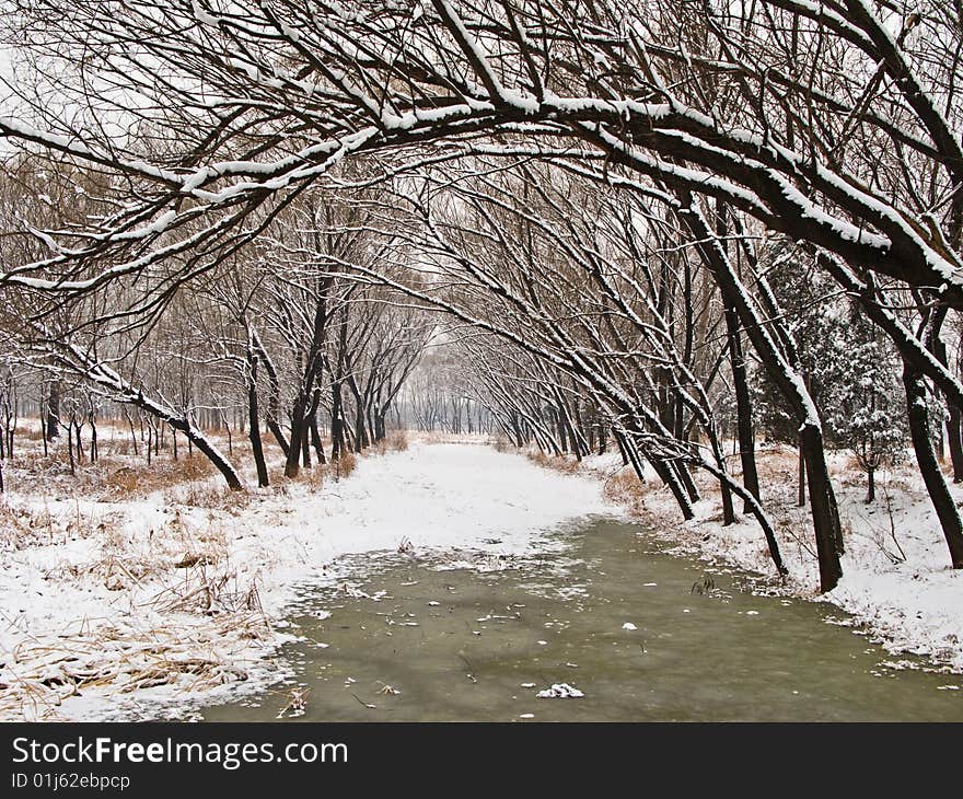 Frost And Snow Covered Stream