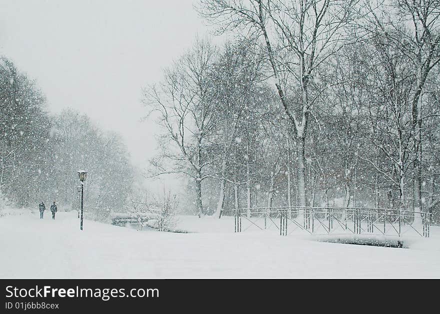 Scene in a park in winter during snowfall. Scene in a park in winter during snowfall