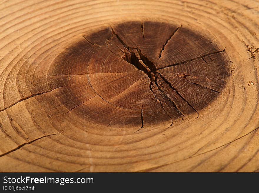 Structure of a wooden board with snag. A close up. Structure of a wooden board with snag. A close up