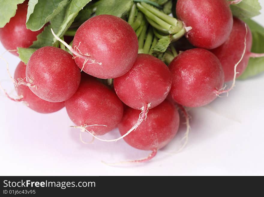 Radish