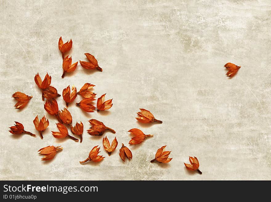 Dry brown autumn decoration plants on grey paper background. Dry brown autumn decoration plants on grey paper background