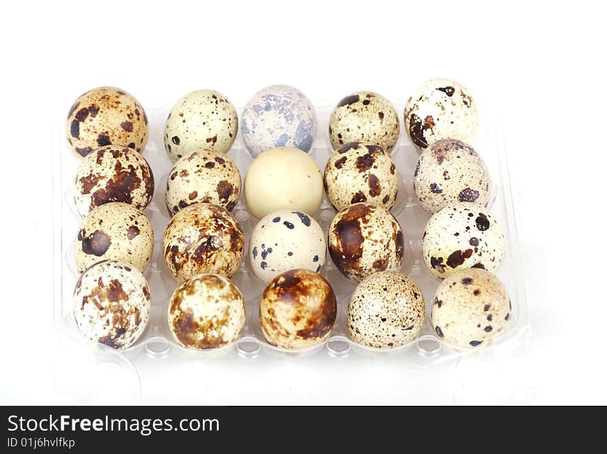 Egg. White eggs and eggs in a speck.