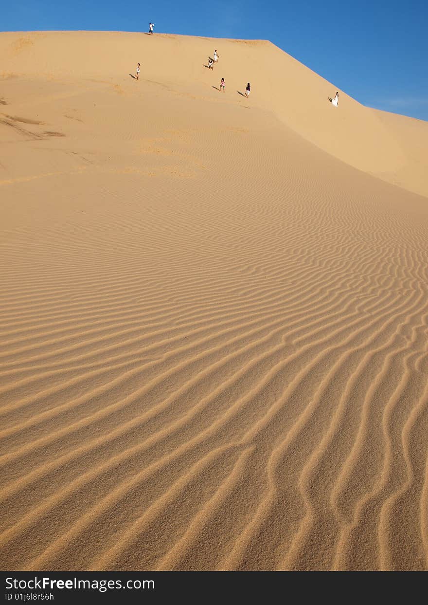 Golden desert under the blue sky. Golden desert under the blue sky