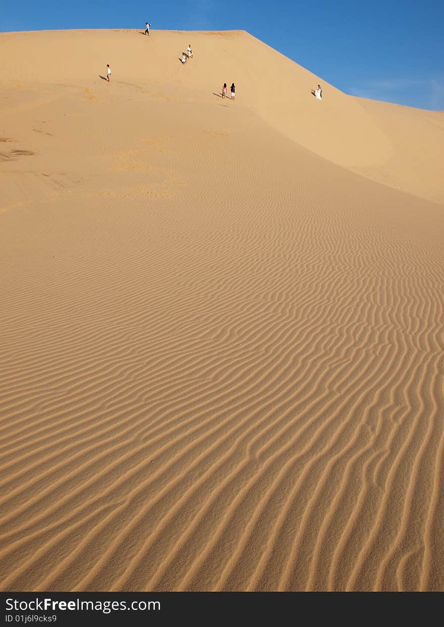 Golden desert under the blue sky. Golden desert under the blue sky