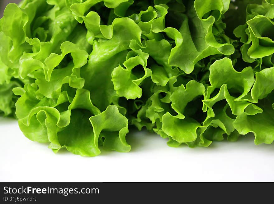 Fresh lettuce isolated on white background