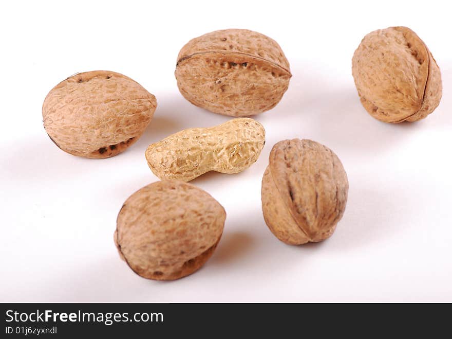 Walnut in an environment of other walnuts in various compositions.