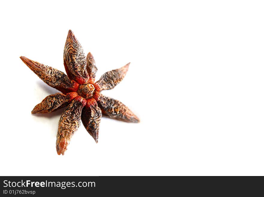 Isolated anise star in white background