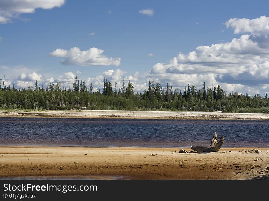 Summer landscape of river bank. Summer landscape of river bank.