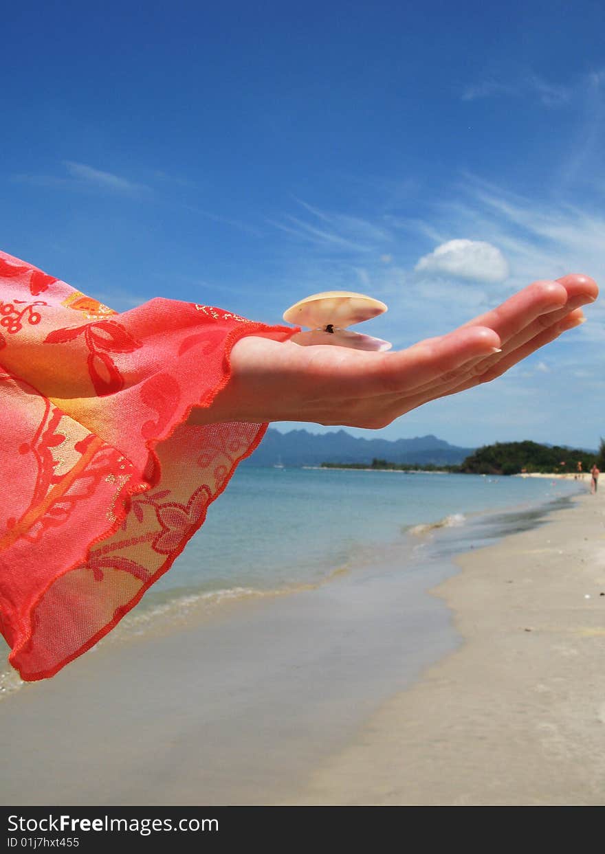 Seashell on the hand against sandy beach on Langkawi, Malaysia