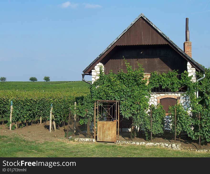 House near vineyard in Mikulove