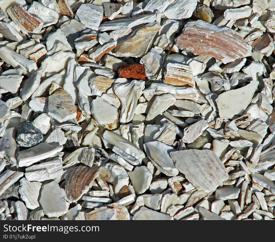 Crushed white shells on a beach road. Crushed white shells on a beach road.