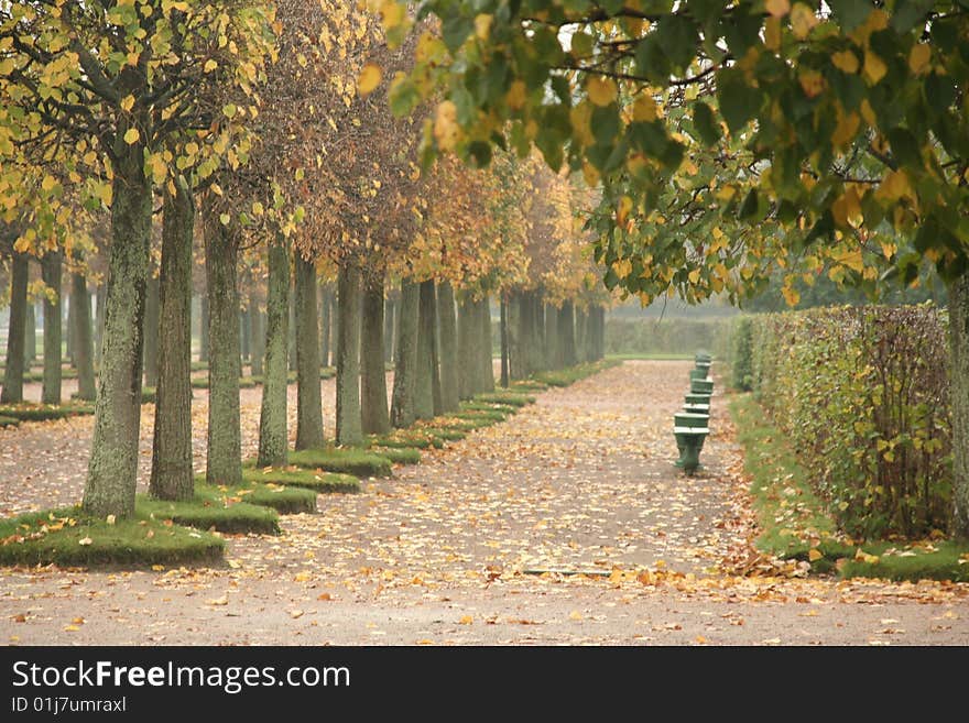 Empty park alley in the beginning of autumn. Empty park alley in the beginning of autumn