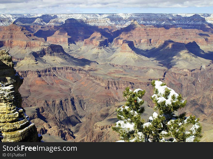 Grand Canyon during winter with pine tree and snow. Grand Canyon during winter with pine tree and snow.