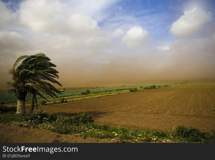 Sand storm in Morocco (landscape)