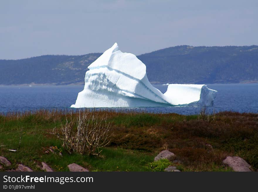 Icebergs in the bay at spring