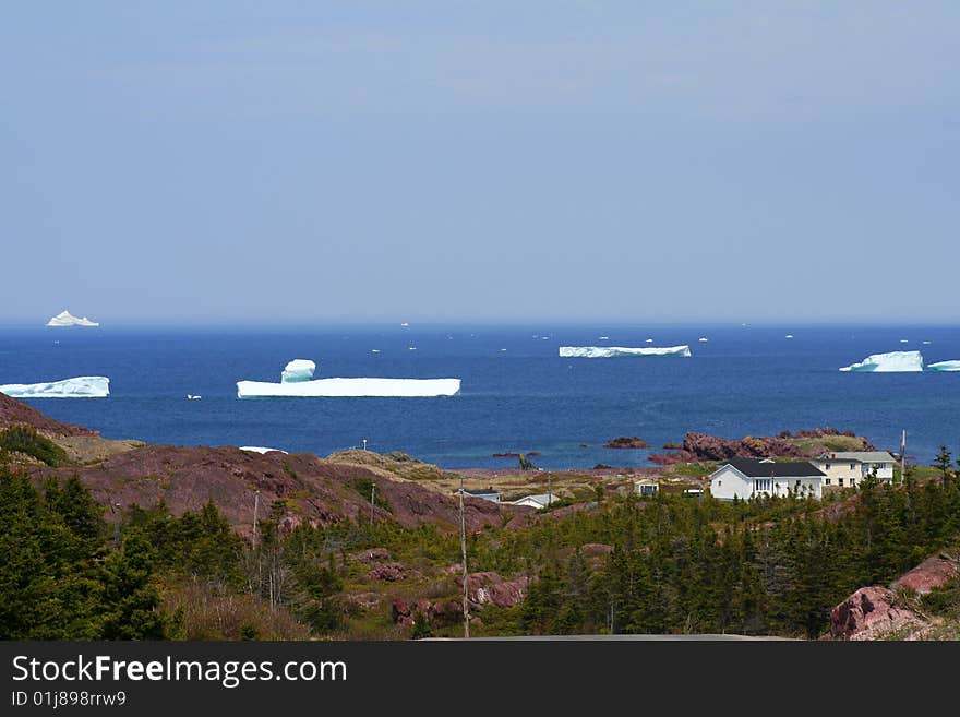 Icebergs in the bay at spring