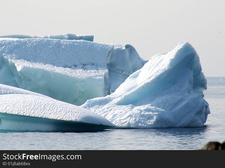 Icebergs off the coast of Newfoundland