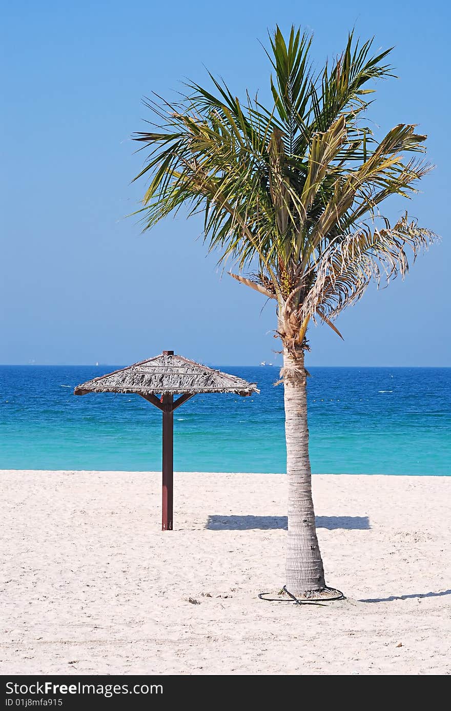 Tropical beach with single palm and hut.