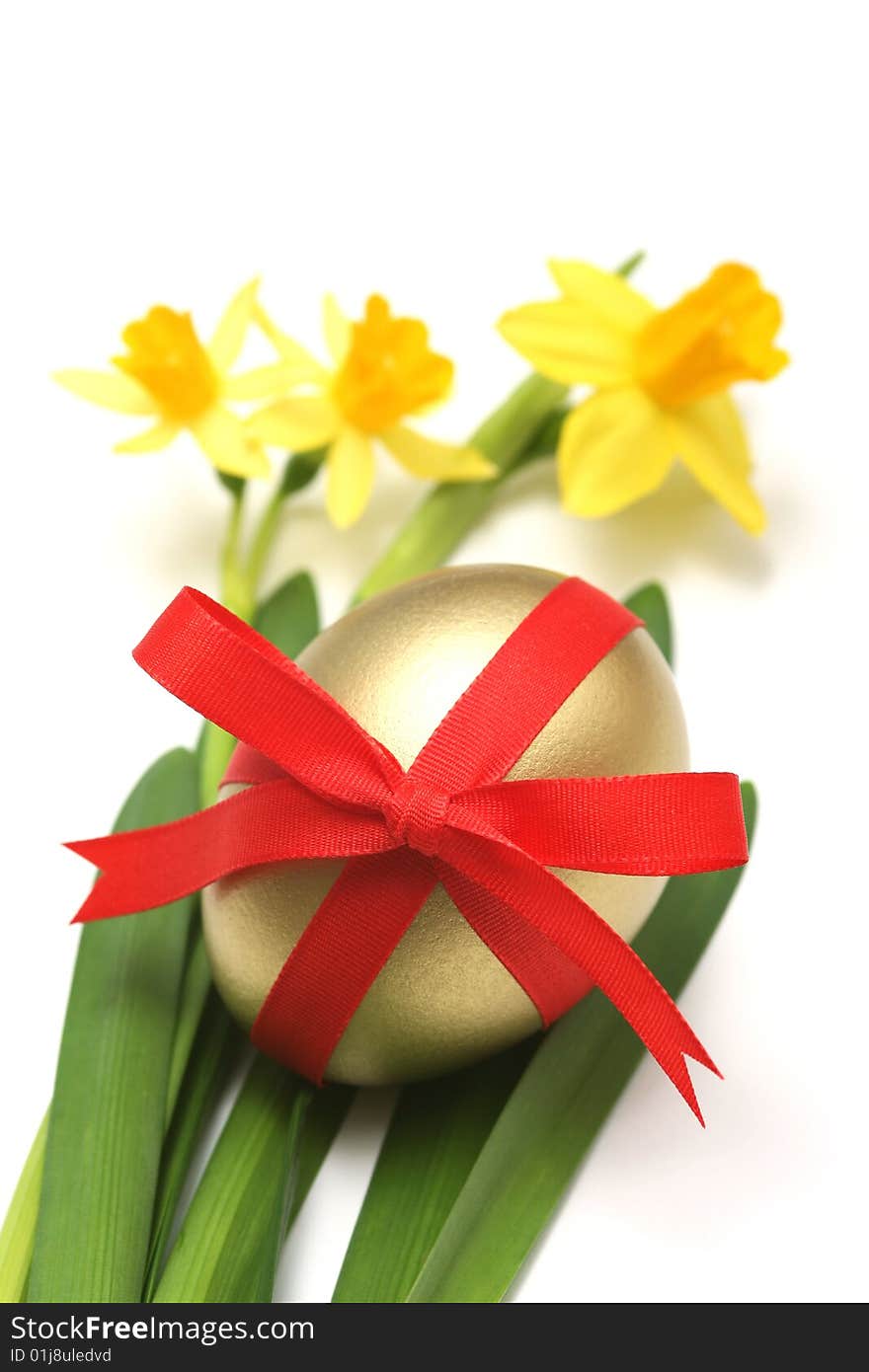 Golden easter egg wrapped around with red ribbon and daffodils for easter background.