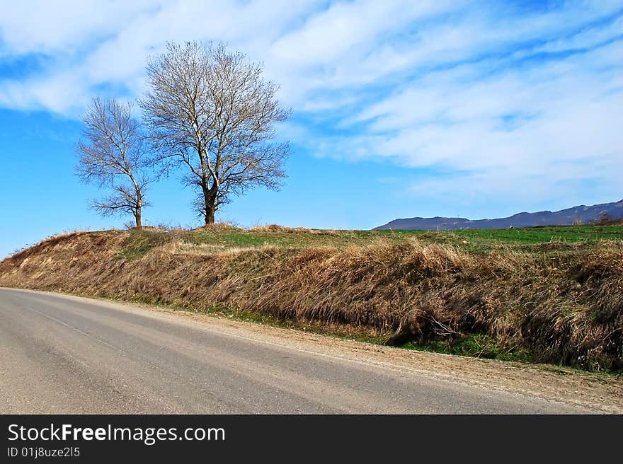 Beautiful road side landscape picture with trees against the cloudy sky background