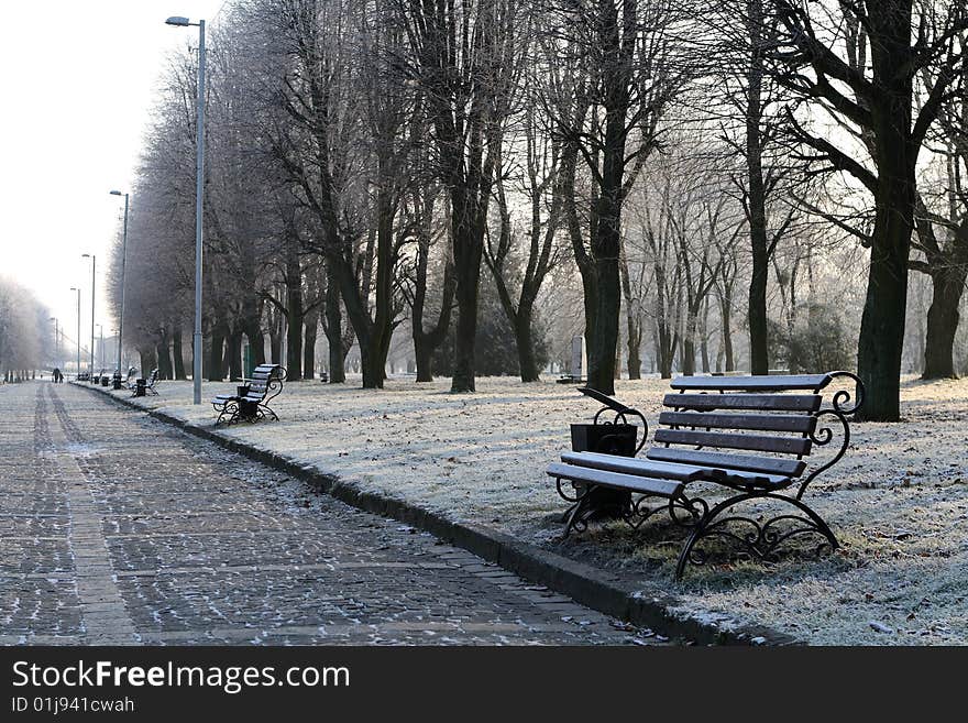 Walkway in front of the Cathedral city of Kaliningrad. Walkway in front of the Cathedral city of Kaliningrad