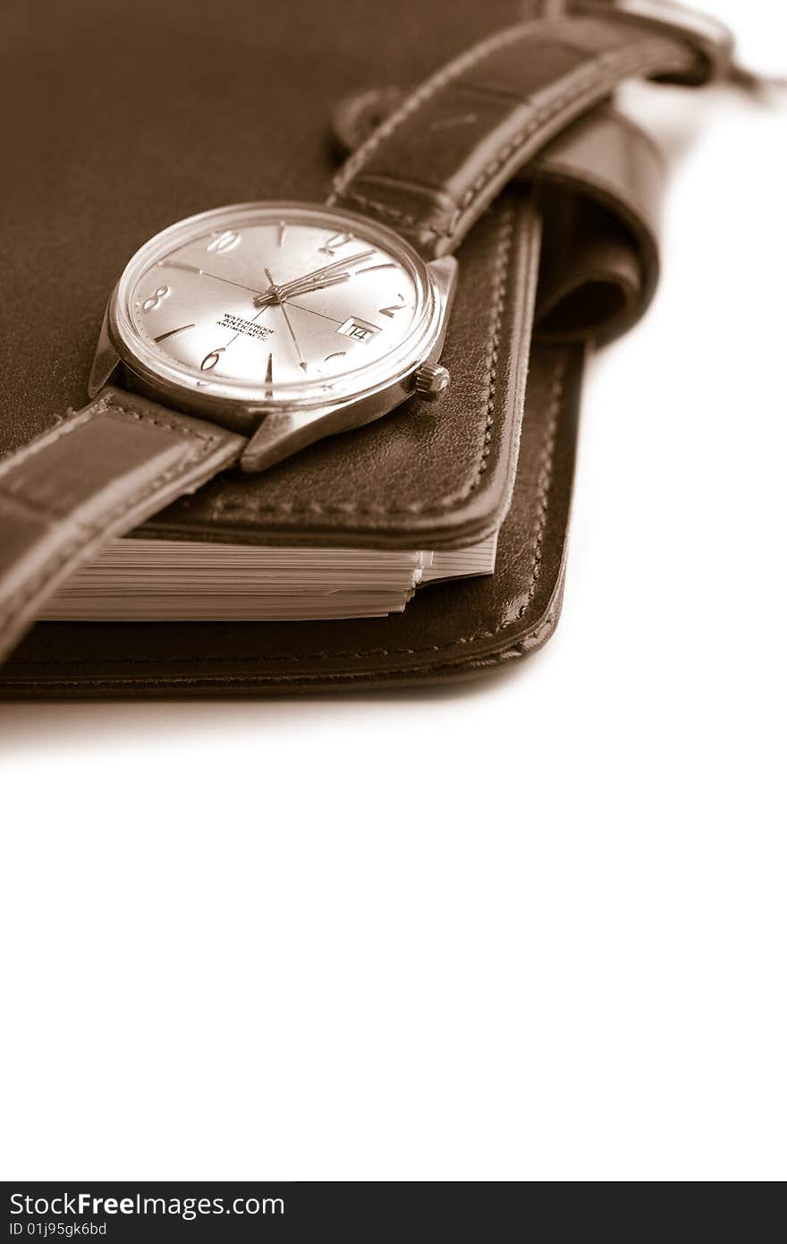 Leather organizer and watch isolated (shallow focus)