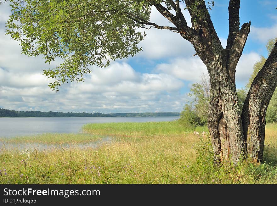 Reservoir lake between Moscow and St'Petersburg in summer. Reservoir lake between Moscow and St'Petersburg in summer