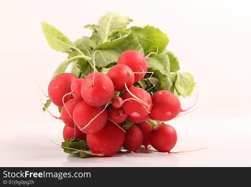 Fresh radishes isolated on white background