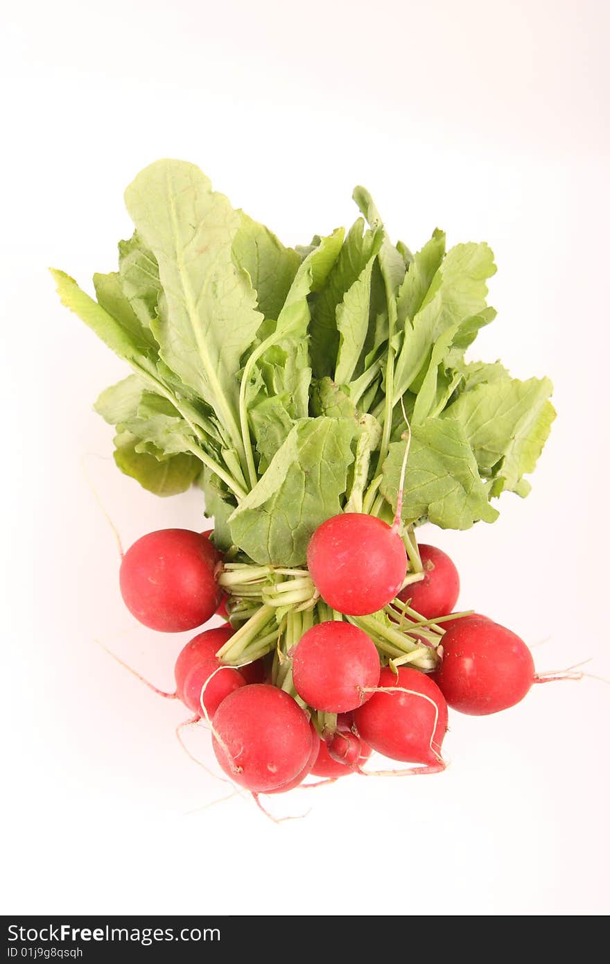 Radishes