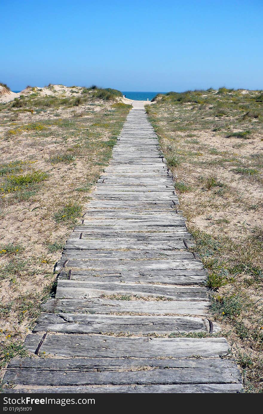 Diurnal sght of a Gangplank of wood that leads to the beach between dunes. Diurnal sght of a Gangplank of wood that leads to the beach between dunes